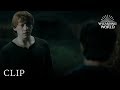 Harry Tries To Leave The Burrow | Harry Potter and the Deathly Hallows Pt. 1