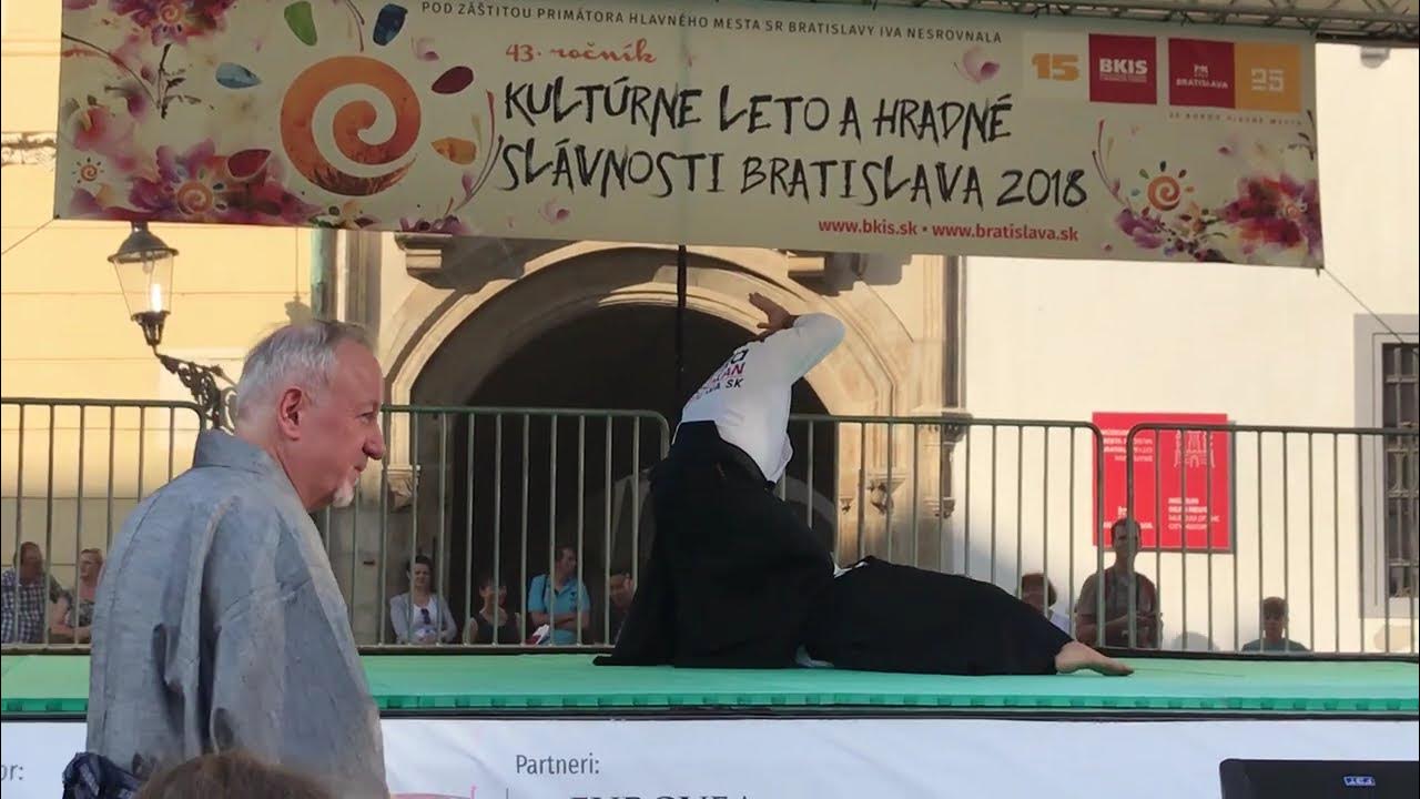 AMAZING Daitoryu Aikijujutsu Martial Arts Techniques YouTube