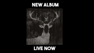 Announcement: The Second Album is Now LIVE