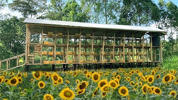 Ep.4 "Unbelievable Results that will Blow Your Mind On Modern beekeeping