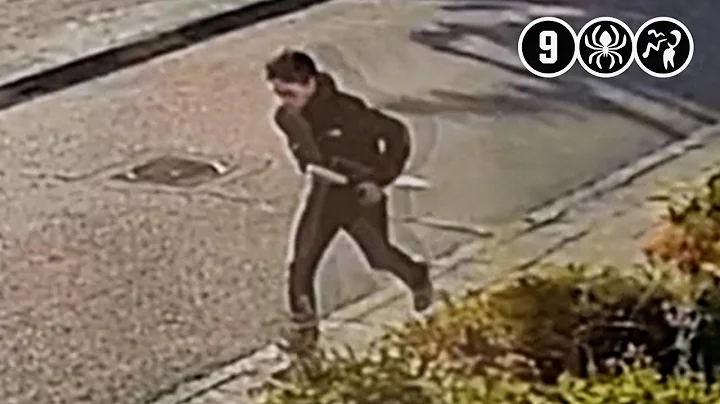 Oplichter besteelt oudere dame | Deurne