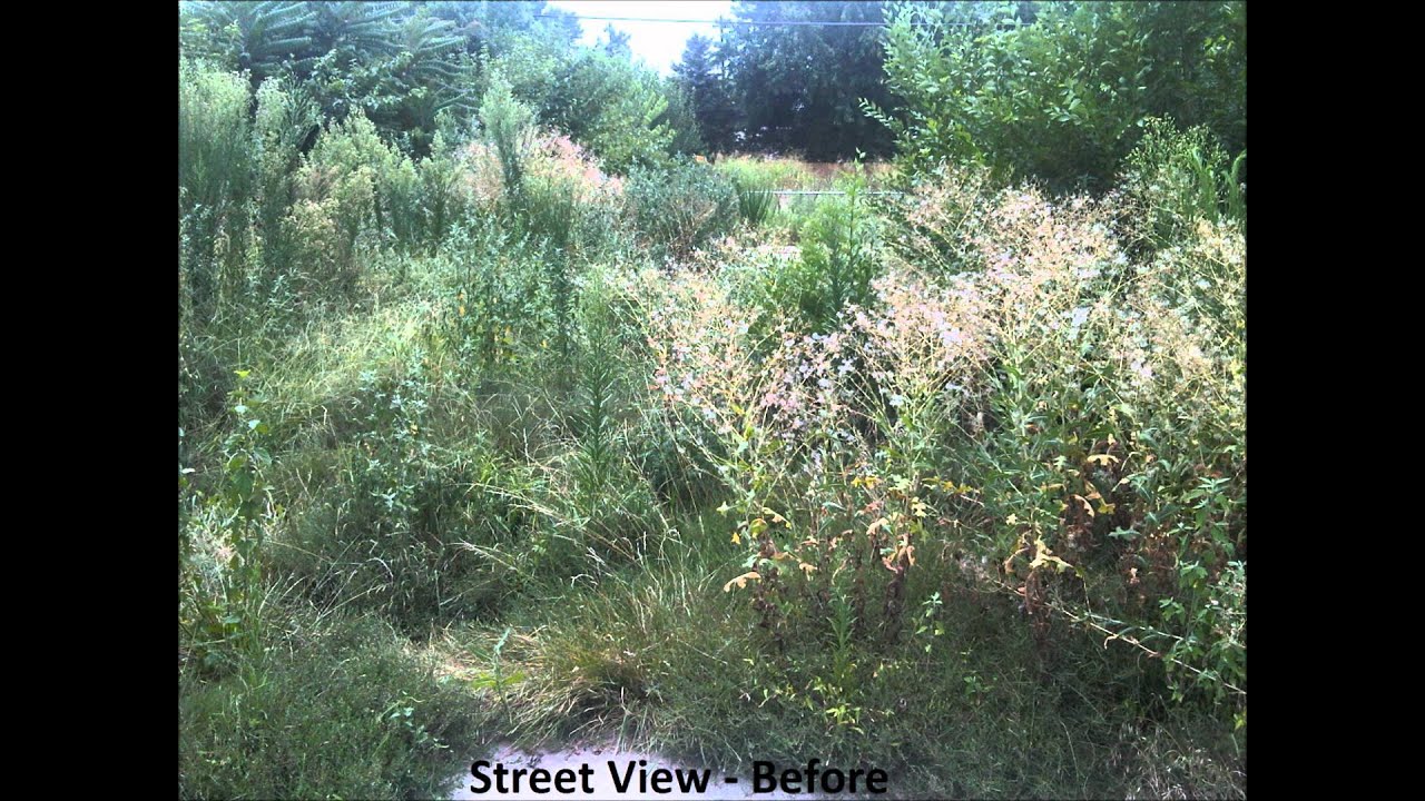 Overgrown Residential Lot Before & After Brush Cutting YouTube