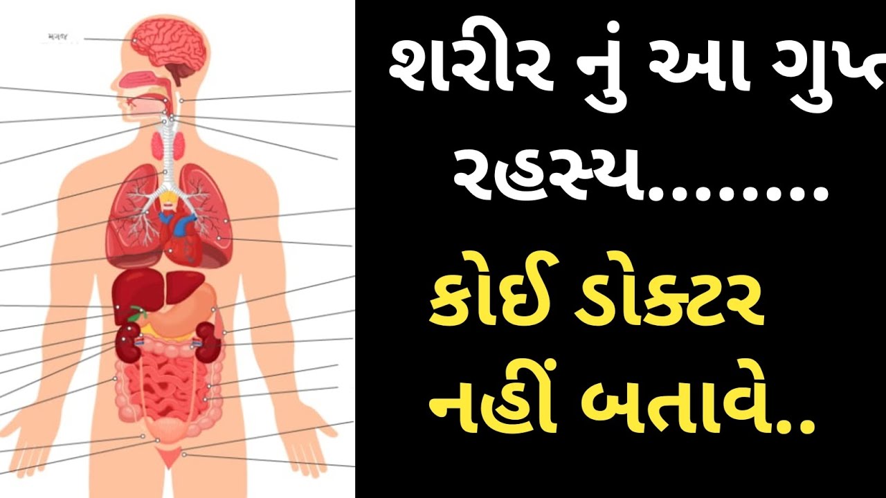 શરીર નું આ ગુપ્ત રહસ્ય........ કોઈ ડોક્ટર નહીં બતાવે..