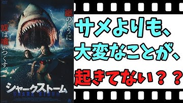 【映画紹介】【ゆっくり映画レビュー】　シャークストーム　　サメよりも、凄いことが起きている？？　アジャ監督のクロール凶暴領域を見ましょう！！という作品　ネタバレなしで紹介します！！