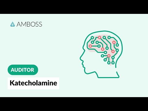 Video: Welche Rezeptoren vermitteln Reaktionen auf den Neurotransmitter Acetylcholin?
