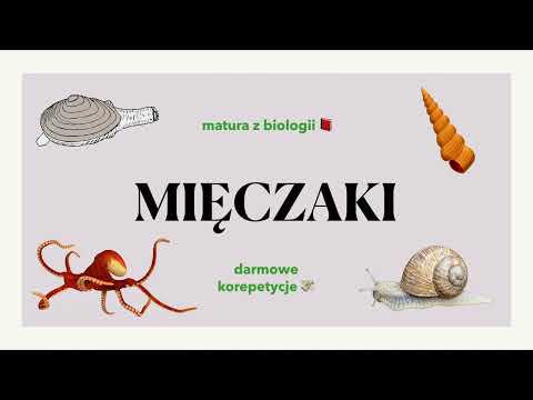 #26 Mięczaki - małże, ślimaki, głowonogi - budowa, charakterystyka 📕 biologia rozszerzona do matury