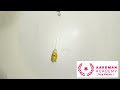 Psyduck Pendulum Take 2 - Aardman Academy