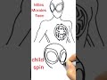  drawing marvels spider man  child spin vs miles teen  drawings  coloring coloringchannel