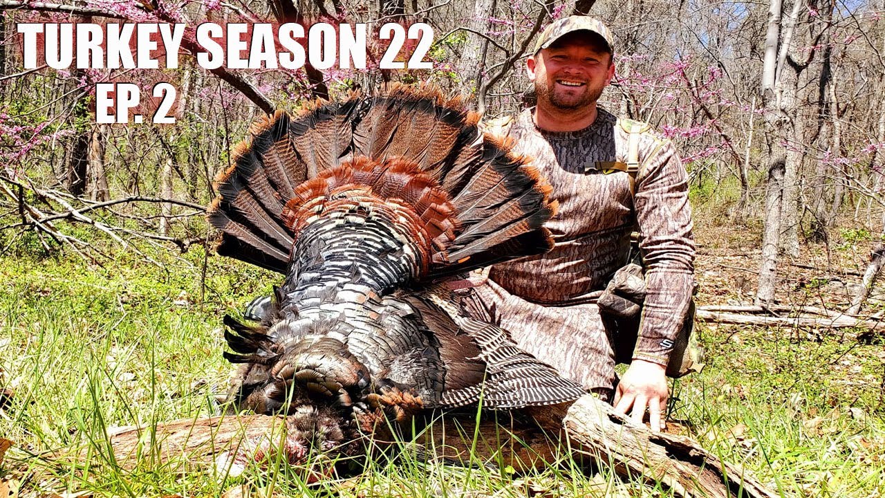AGGRESSIVE MOVES on MOUNTAIN GOBBLERS!! - Maryland Public Land Turkey Hunting 2022