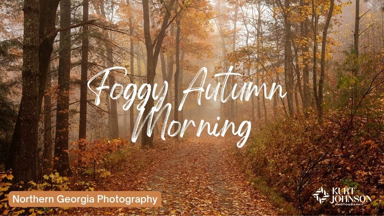 Foggy Autumn Morning Nature Photography in Northern Georgia