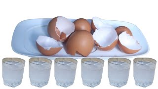 This is why you should never throw away your EggShells
