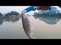 【游钓VLOG 】顺德河道玩玩软虫，钓到漂亮的红眼鱼一条  Red-eye trout fishing in Shunde ,Canton province