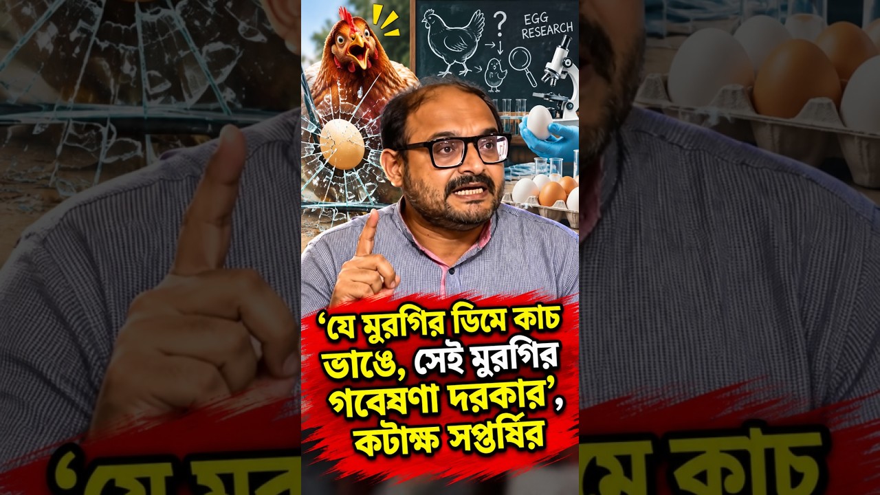 'যে মুরগির ডিমে কাচ ভাঙে, সেই মুরগির গবেষণা দরকার', কটাক্ষ সপ্তর্ষির