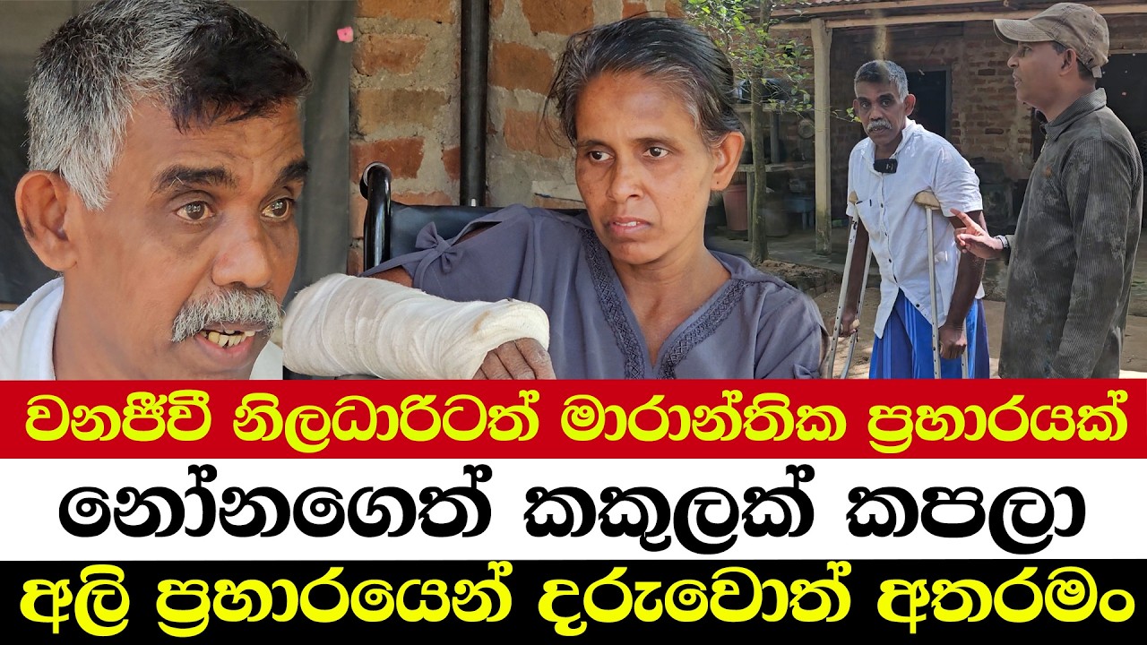 වනජීවී නිලධාරිටත් මාරාන්තික ප්‍රහාරයක් | නෝනගෙත් කකුලක් කපලා | අලි ප්‍රහාරයෙන් දරුවොත් අතරමං