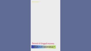 STORY WA 'SEBUJUR BANGKAI' ( RHOMA IRAMA ).