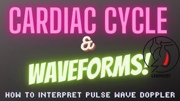 How to Understand the Cardiac Cycle and Waveforms - The Pulse Wave Doppler