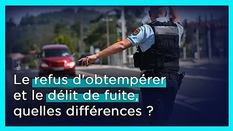 Quelles sont les sanctions pour un refus d'obtempérer ?