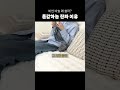 비싼 바늘 왜 쓸까? 돈값하는 진짜 이유