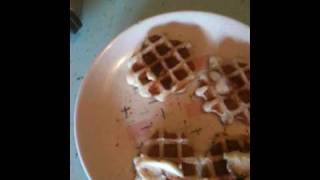 My Dogs love Batter Blaster Organic Aerosol Waffle Mix