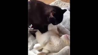 the massage
