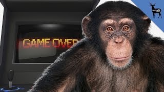 Chimps Beat Humans at Video Games screenshot 3