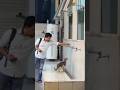 Humanity is still alive 🥹 ❤️‍🩹 #shorts #humanity #cat #respect #kindness #viral #god