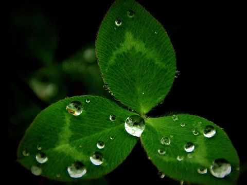 غم و شادی از کتاب پیامبر اثر جبران خلیل جبران برگردان حسین الهی قمشه ای کاری از شهرزاد فتوحی