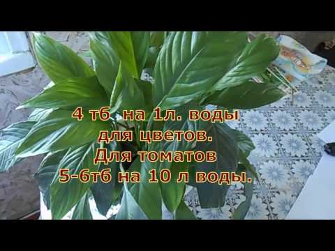 Янтарная кислота для растений