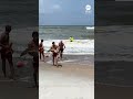 Lifeguards rescue deer swept out to sea at Florida beach