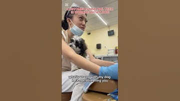 CUSTOMER IS MAD NAIL TECH IS WORKING WITH A DOG