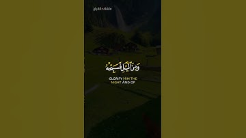 تلاوة من سورة الطور الايه 48