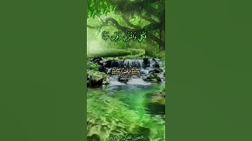 سورة مريم - عبدالباسط عبدالصمد أَلَّا (تَحْزَنِي قَدْ جَعَلَ رَبُّكِ تَحْتَكِ سَرِيًّا)