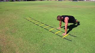 Quick Step Ladders