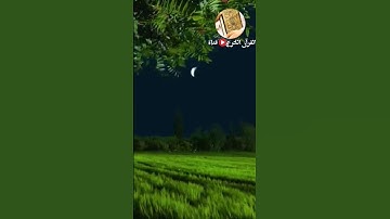 حالات واتس اب روعة سورة( الليل)