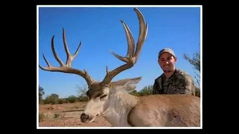 Sonoran Outfitters in Mexico Hunting Giant Mule Deer.