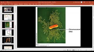 Genetics Ch 9