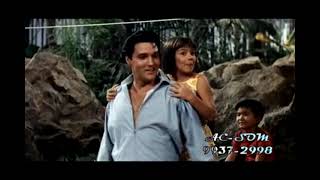 Elvis Presley - Queenie Wahine's Papaya