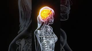How Do Seizures Affect Your Brain and Memory?