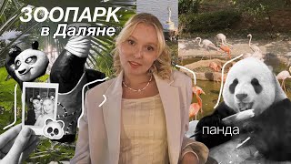 Путешествие в Далянь 🇨🇳 // Даляньская Венеция и зоопарк 🐼