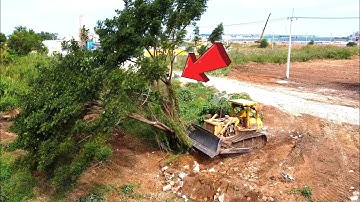 Amazing action Stronger heavy Dozer working push clean Forest,