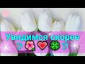 Скучает ли Он?💯🌹Что думает о Вас?🌹Хочет ли встречи?🌹Как ему сейчас без Вас?