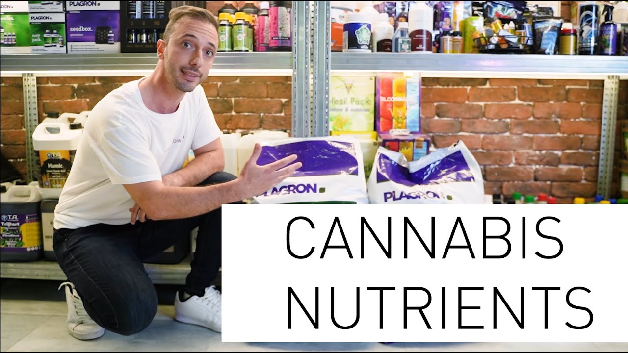 Cannabis Nutrients - Introduction