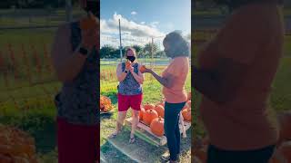 Virtual Field Trip to  Hagerty Farms Pumpkin Patch