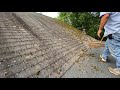 How to clean moss off your north facing roof
