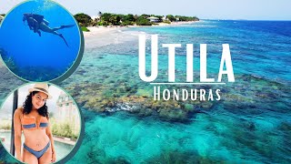 Traveling to Utila Honduras 2021  Everything You Need to Know