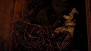 MVI_4828.AVI