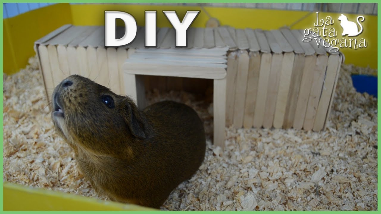 DIY TÚNEL DE TRES PUERTAS PARA COBAYAS, CONEJOS, ERIZOS,CHINCHILLAS,ETC | HAZLO TÚ MISMO