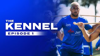 The Kennel: Connection | Canterbury-Bankstown Bulldogs