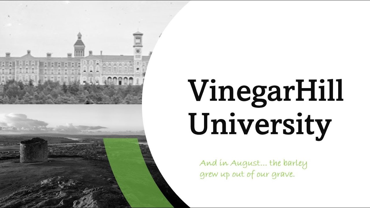 Linear Regression in Excel and Rstudio with p values for T and F distributions