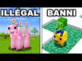30 SECRETS que TU ne CONNAIS PAS sur Minecraft ! thumbnail